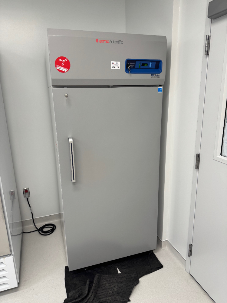 Image of Thermo TSX Series -20C Freezer